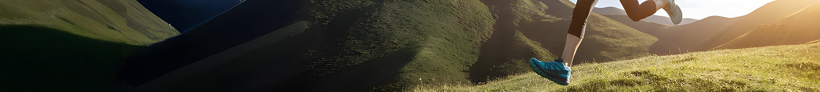 collection-banner-image