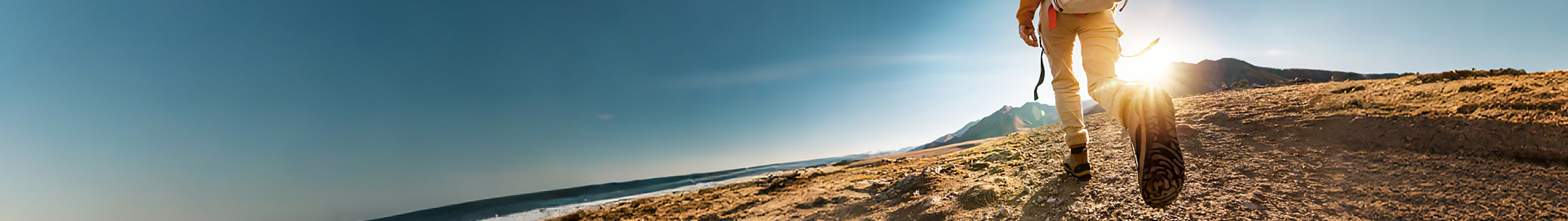 collection-banner-image