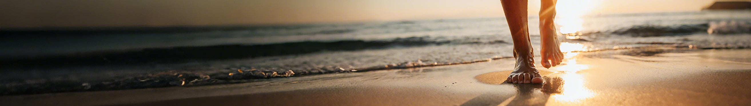 collection-banner-image