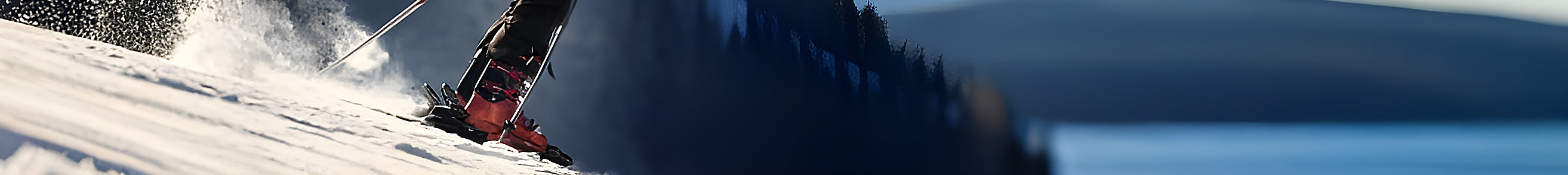 collection-banner-image